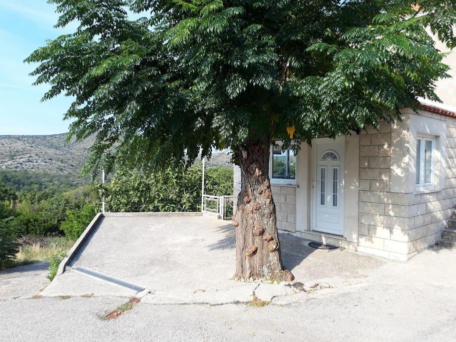 Doli Apartment Harmony - With Free Parking מראה חיצוני תמונה